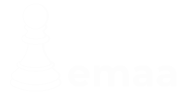 Ethnic Media Advertising Agency